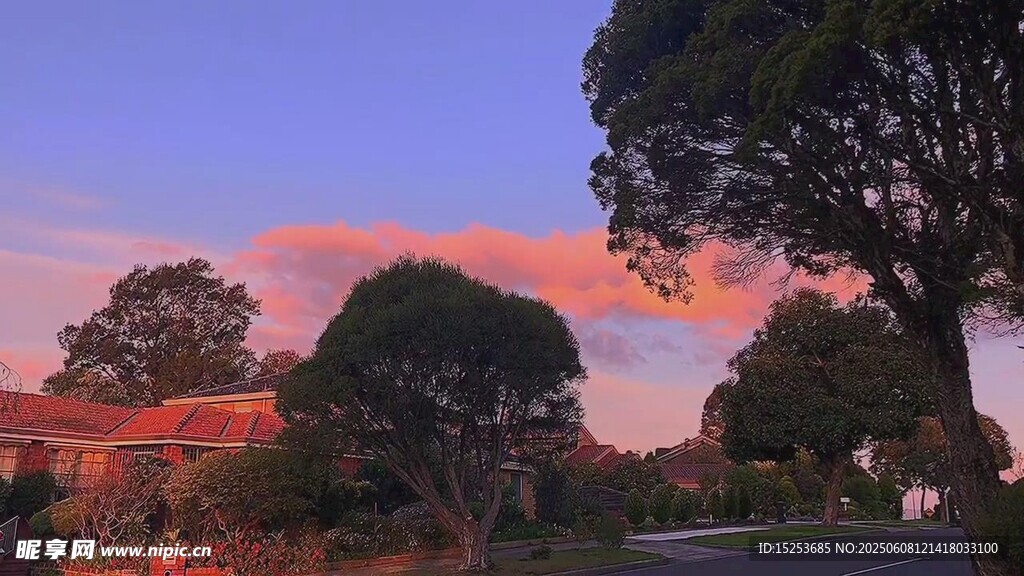 黄昏下的树木与绚丽天空