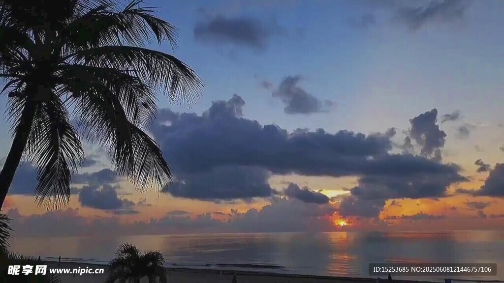 海边椰树旁的绝美日落