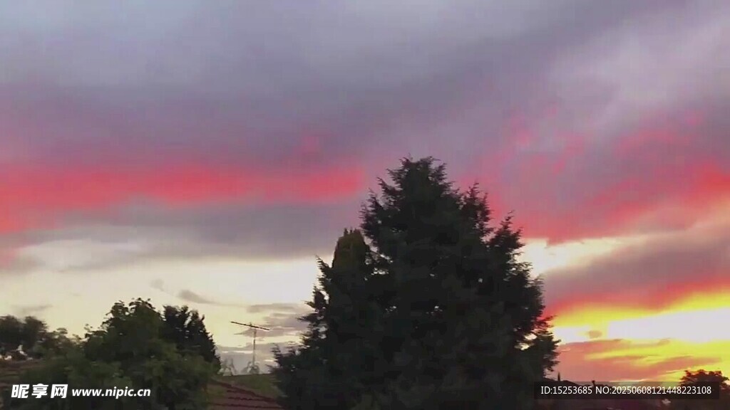 夕阳下的树木与绚丽云彩