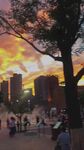 夕阳下城市公园热闹景象