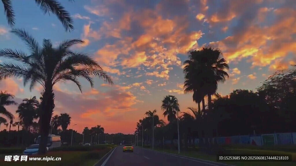 夕阳下的道路与棕榈树