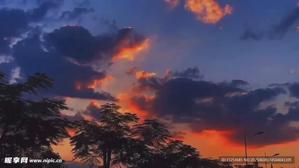 夕阳下绚烂天空与树木