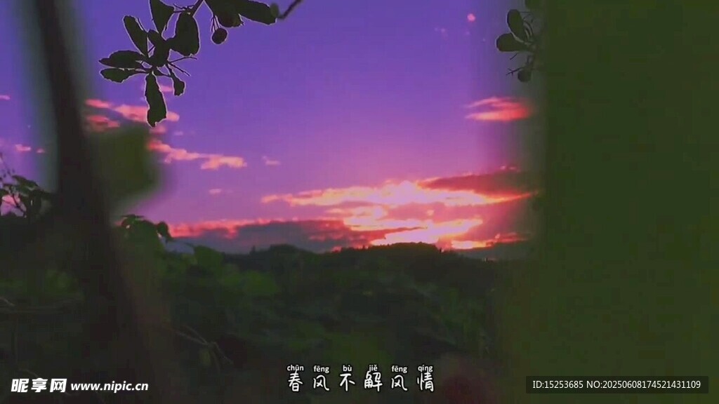黄昏山林美景