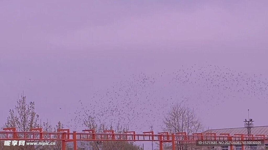 紫色天空下的红色围栏