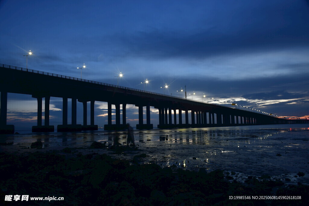 蓝色天空海边跨海大桥夜景