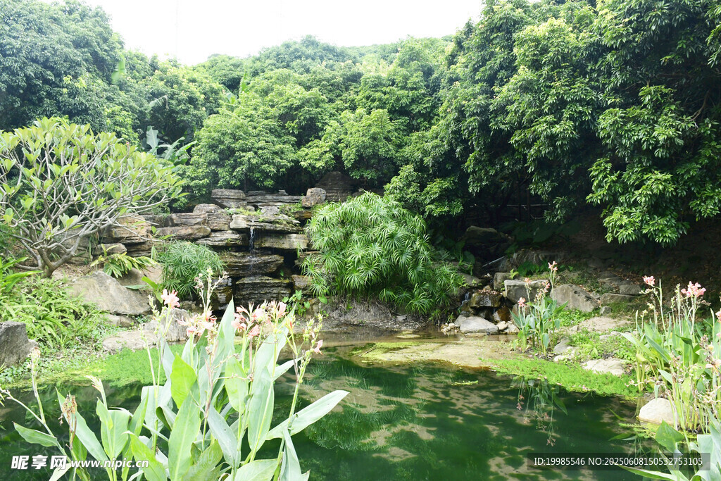 绿色湖水湖面树木