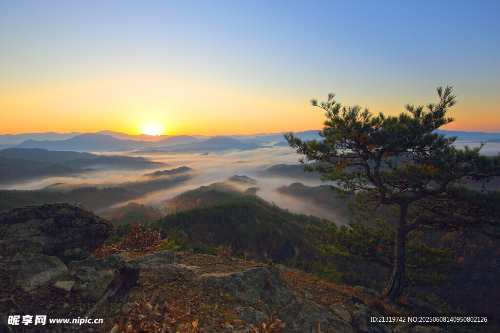 日出山林间云海美景