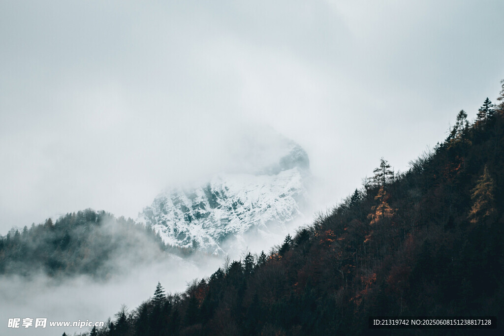 云雾缭绕的山林与雪山