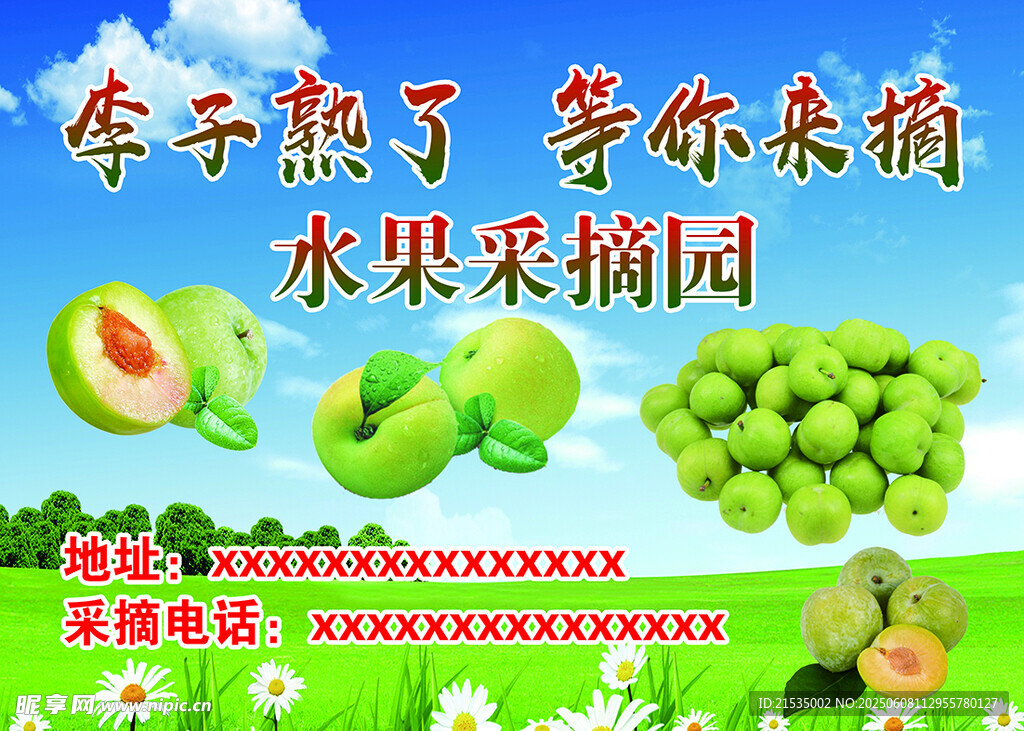 水果采摘园 等你来体验