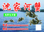 河蟹螃蟹批发