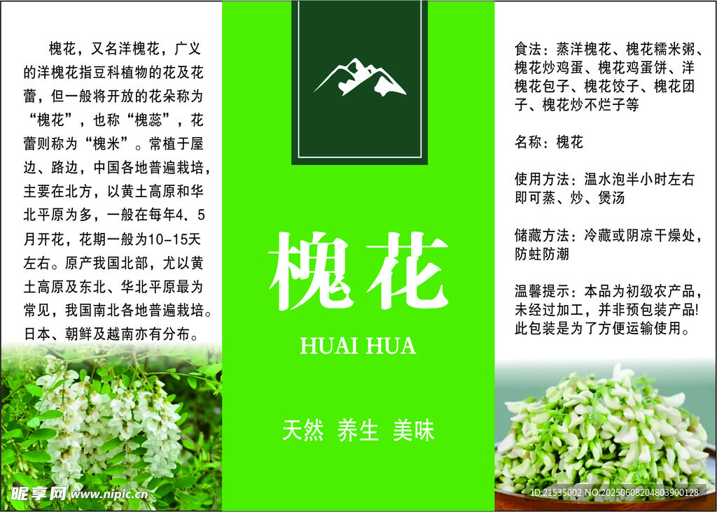 槐花介绍宣传页