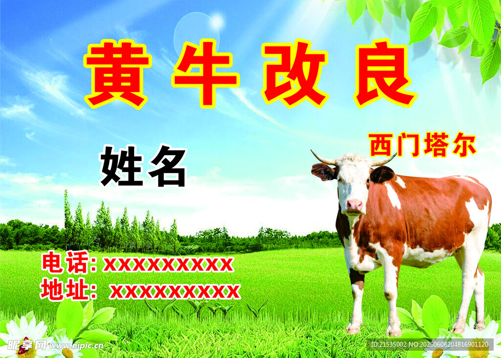 黄牛改良兽医饲料