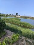 田园河畔风光