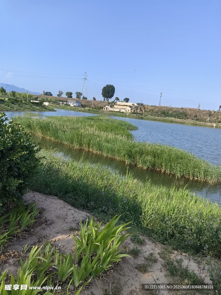 田园河畔风光