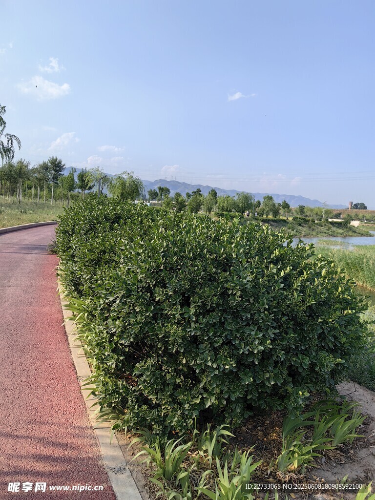 乡村红砖小径