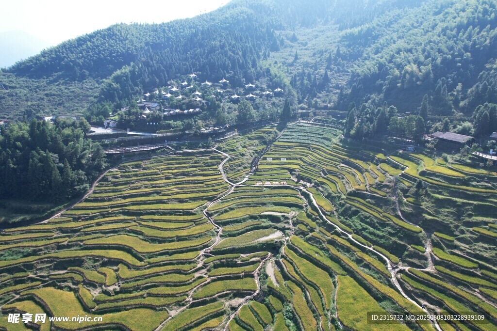 壮观梯田美景