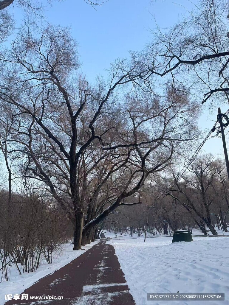 冬日雪后公园的寂静小路