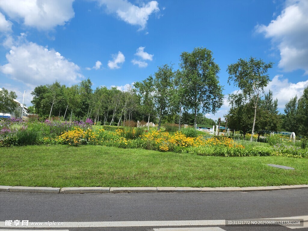 路边多彩花草与绿树景观