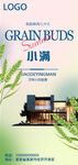 小满时节乡村景象