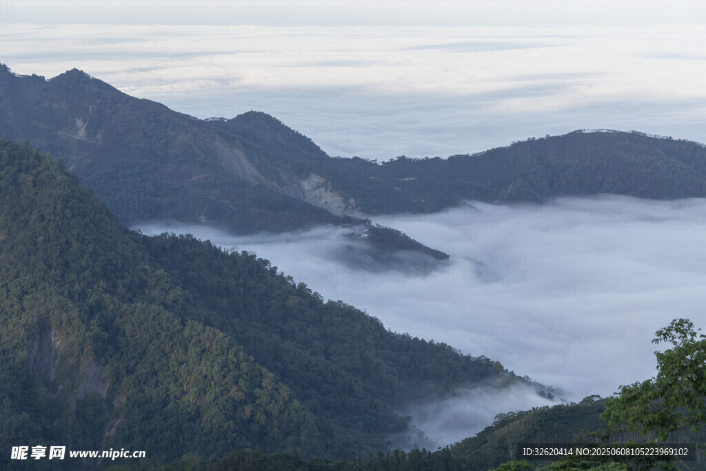 青山 云海