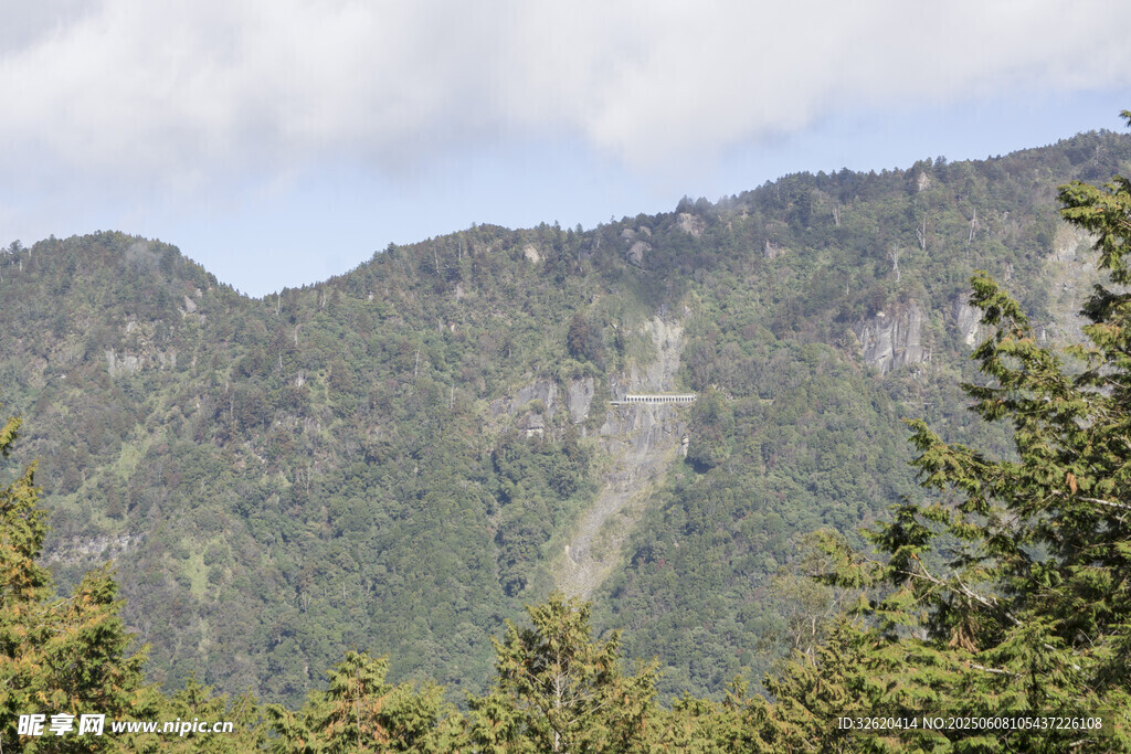 山峦 植被