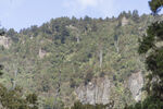 山林 峭壁 