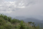云雾 山景