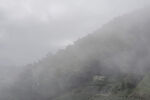 云雾 山林