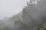 山间 迷雾 