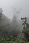山间 迷雾