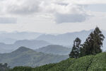 云雾 山峦 