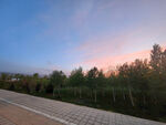 夕阳下的林间道路美景