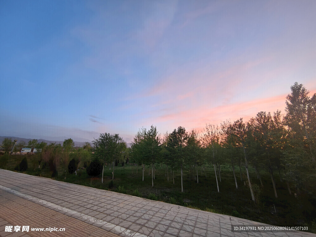 夕阳下的林间道路美景