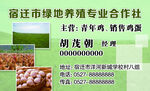 养殖名片