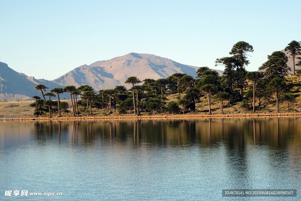 湖畔山林美景