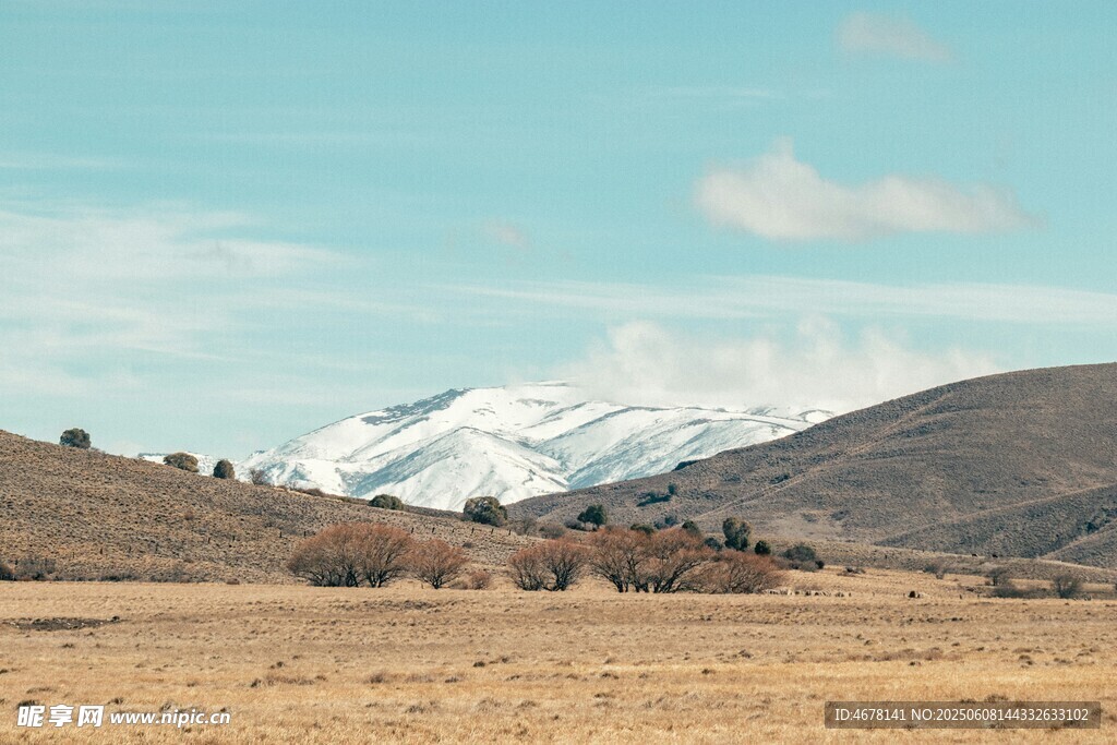广袤原野与远处雪山景观