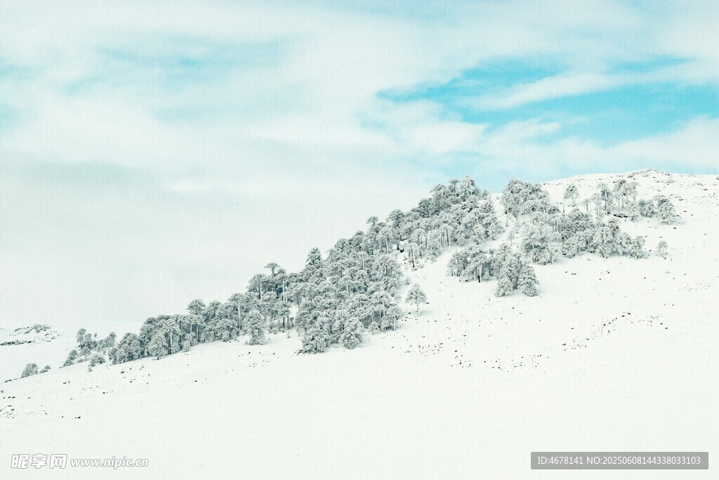 雪覆山峦 树木点缀其间