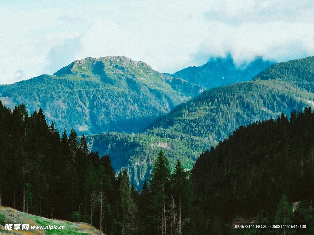 山峦森林美景