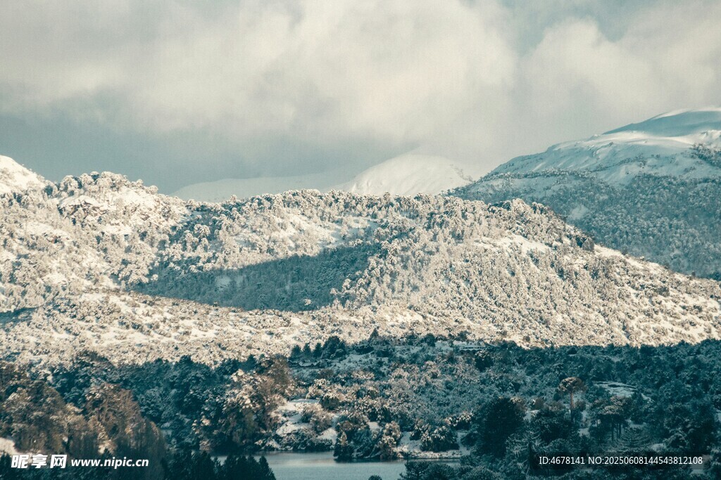 雪山森林壮丽自然景观