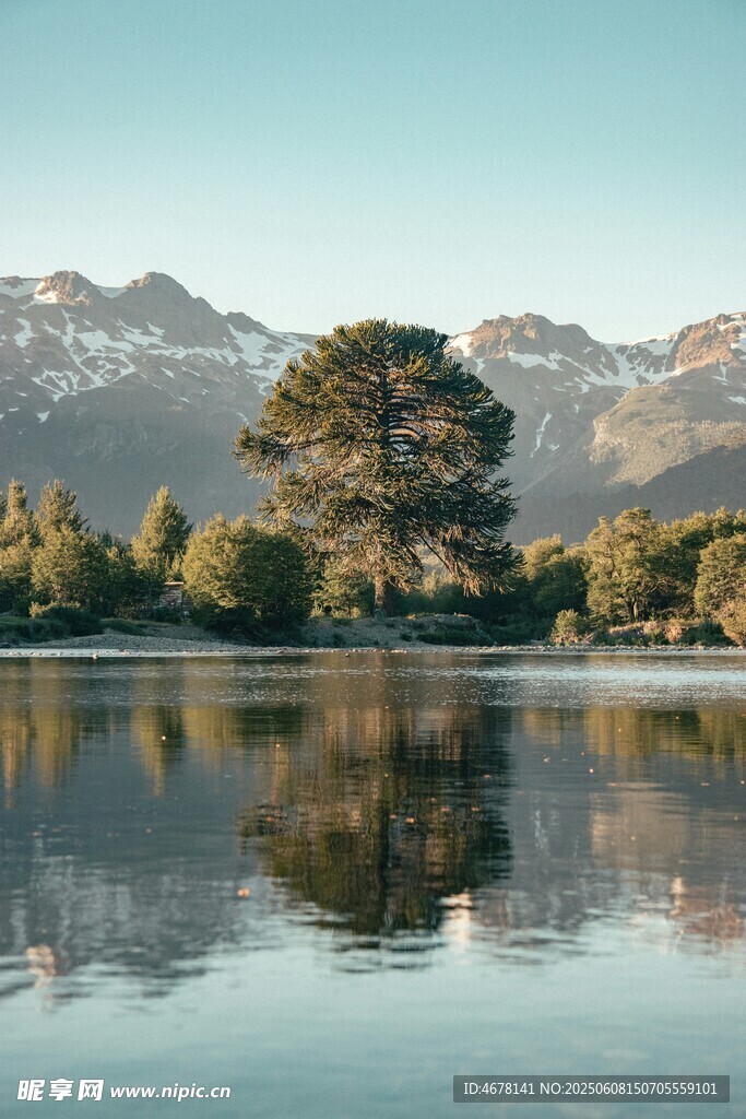 湖畔青山绿树倒影美景