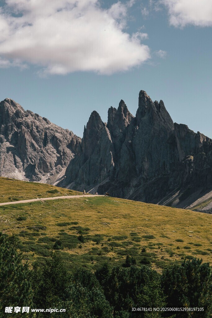山间美景 壮丽山峰与草地