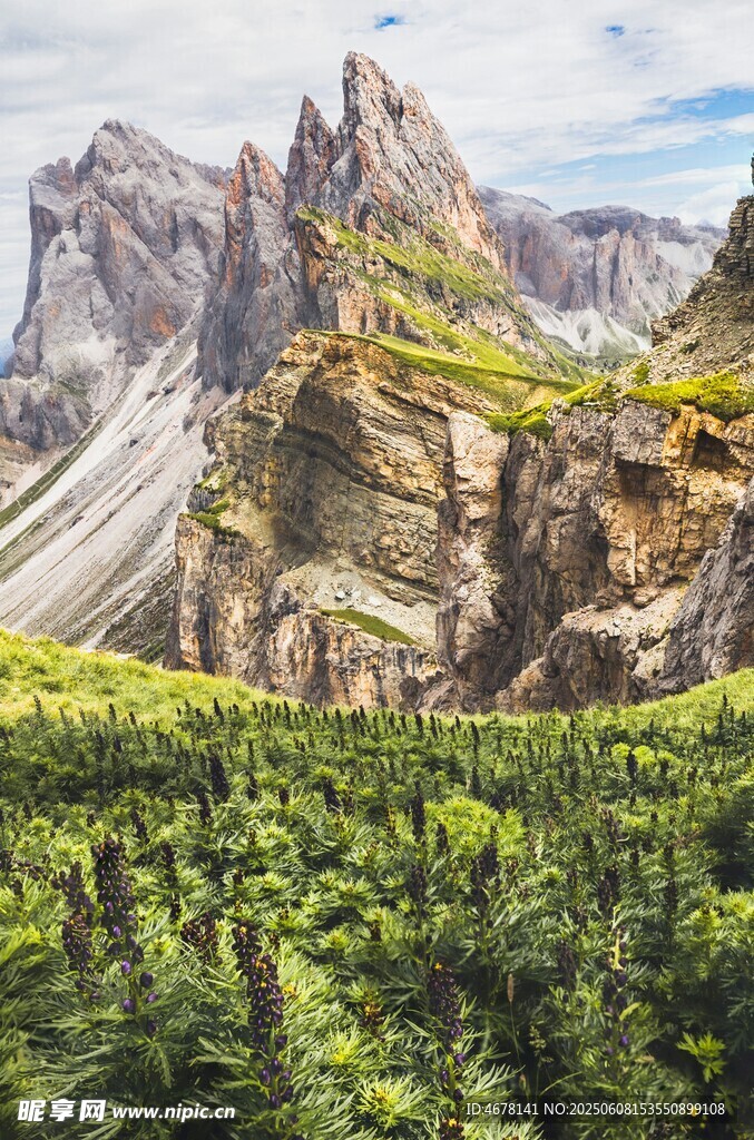 壮丽山景与葱郁植被