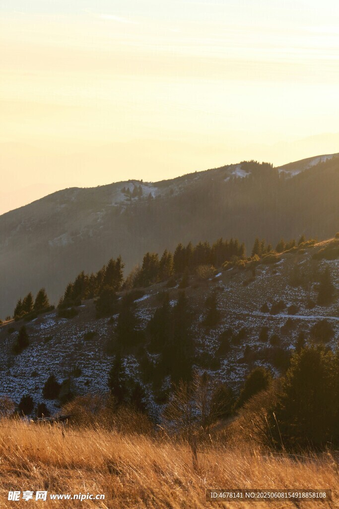 黄昏下的山峦与金黄草地
