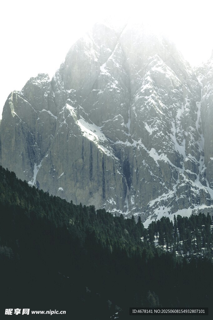 巍峨雪山与葱郁山林