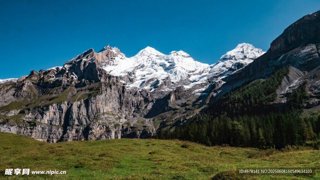 壮丽雪山下的翠绿草地
