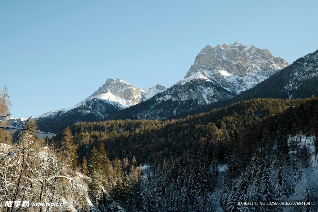 冬日雪山森林美景