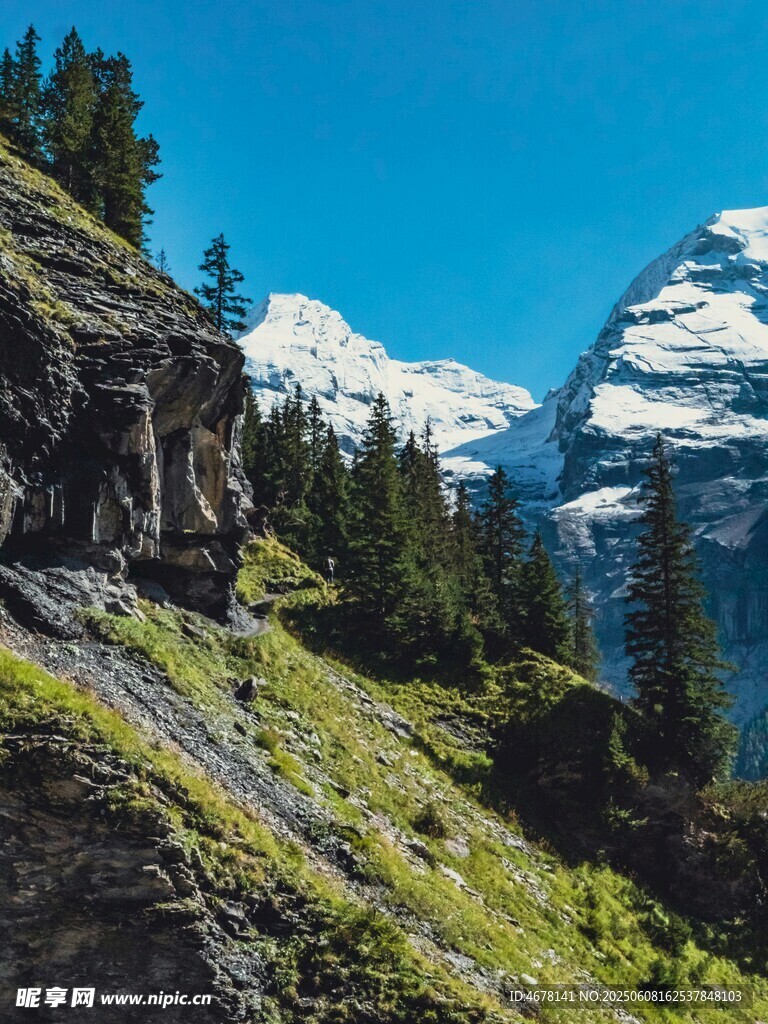山间美景绿草雪峰与林木