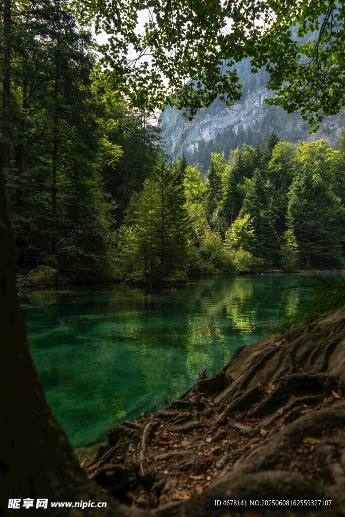 森林中的碧绿清澈湖水