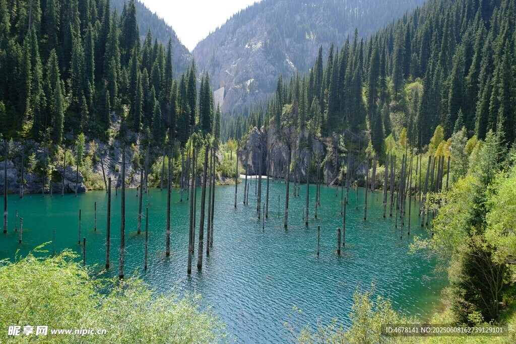 山间幽蓝湖水与林立枯木