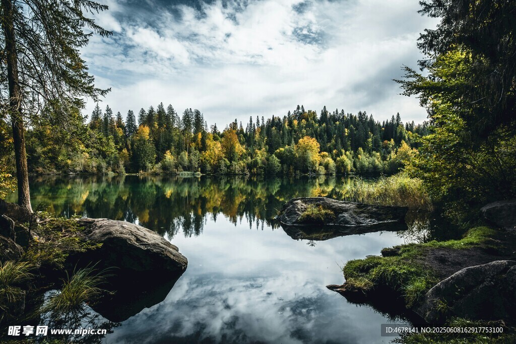 森林湖畔美景